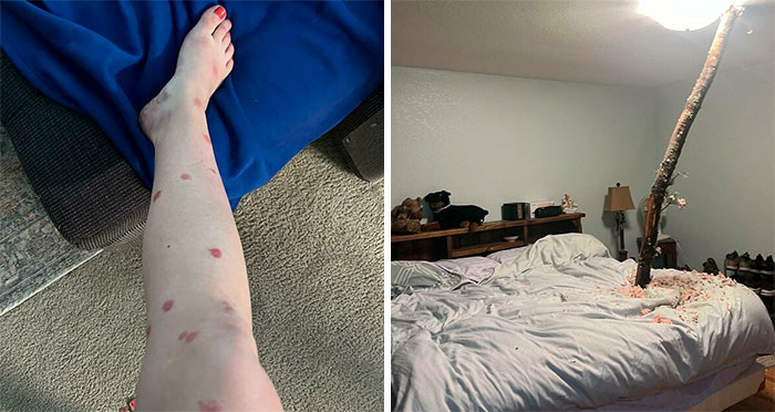 40 Personas que seguramente estén teniendo un mal día (Nuevas imágenes)