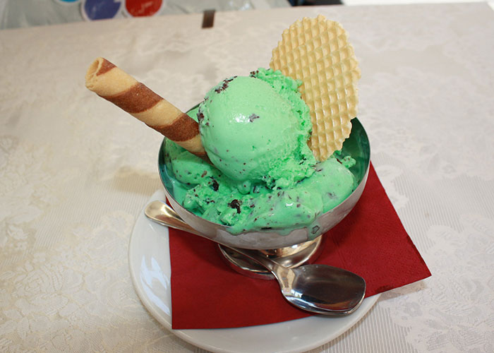 Mint chocolate chip ice cream served in a bowl with a wafer and cookie stick, showcasing unfiltered food opinions.