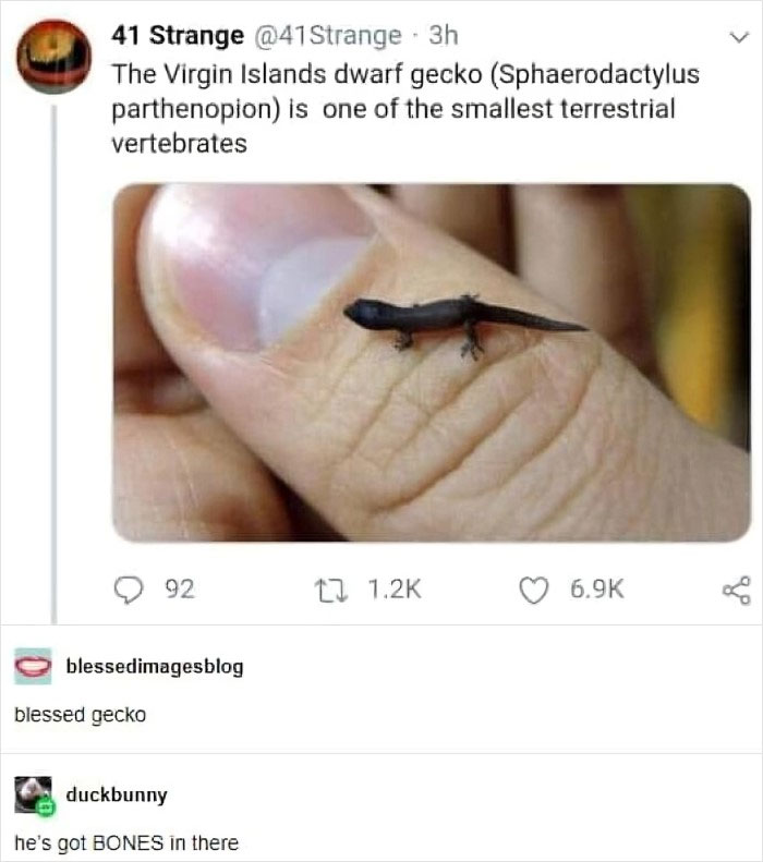 Wild-Green-Memes-Ecological-Fiends