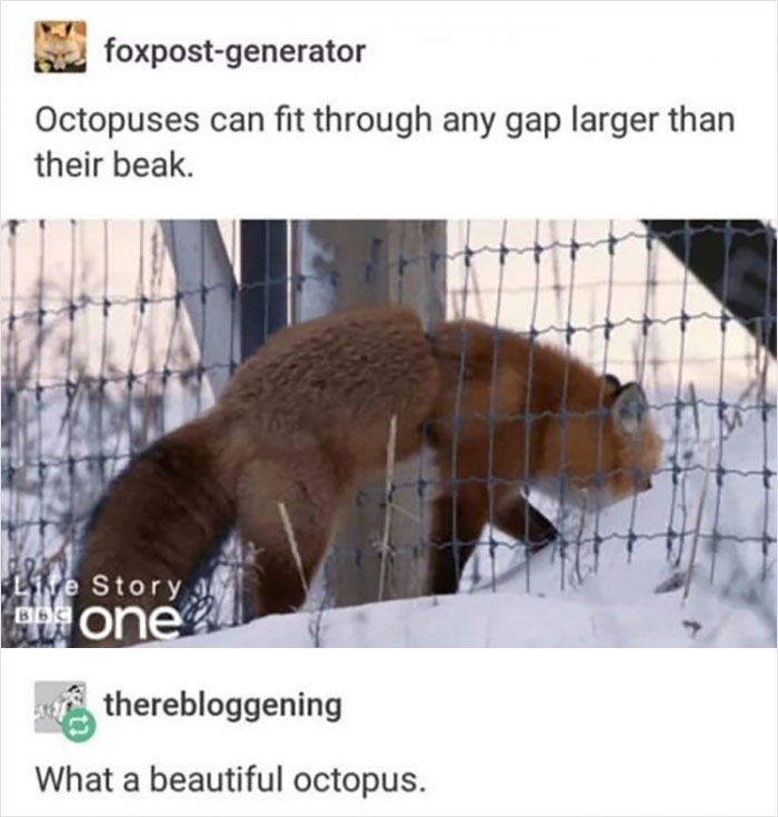 Wild-Green-Memes-Ecological-Fiends