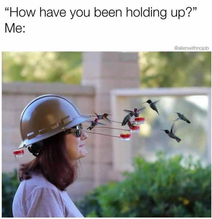 Wild-Green-Memes-Ecological-Fiends