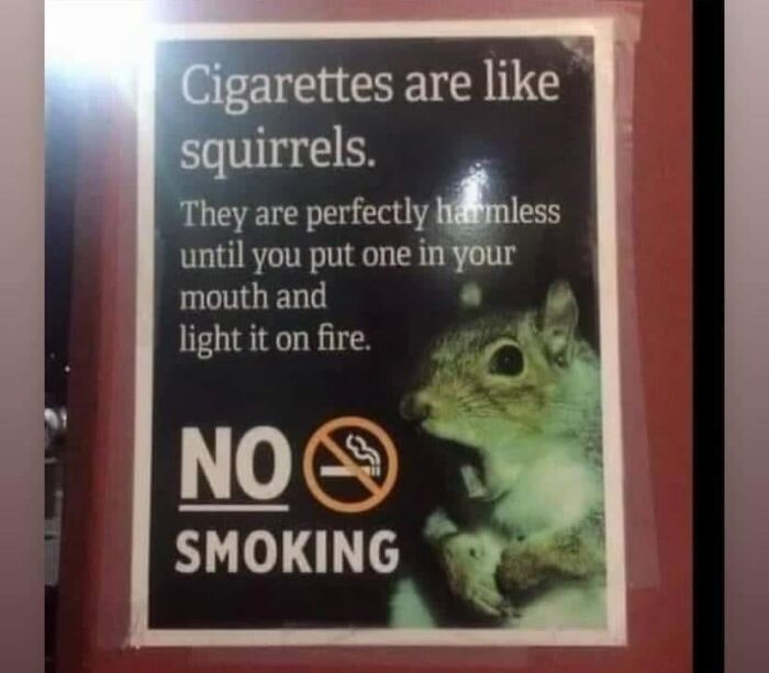 Wild-Green-Memes-Ecological-Fiends