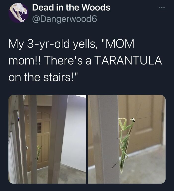 Wild-Green-Memes-Ecological-Fiends