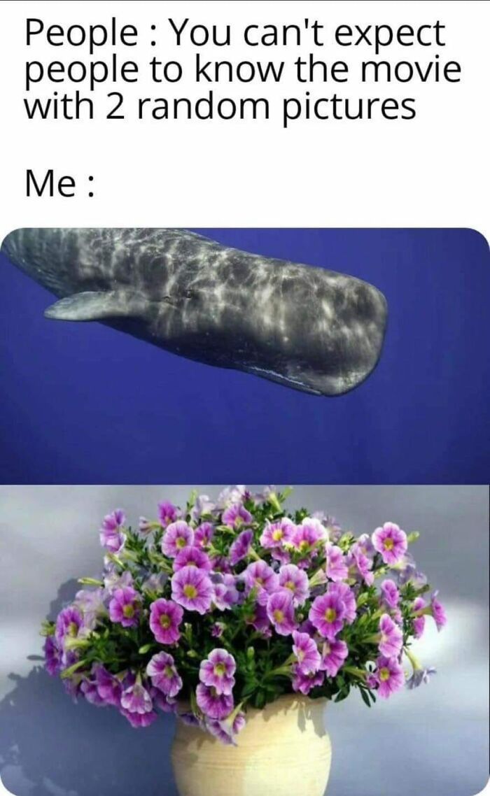 Wild-Green-Memes-Ecological-Fiends