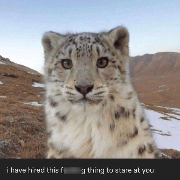 Wild-Green-Memes-Ecological-Fiends