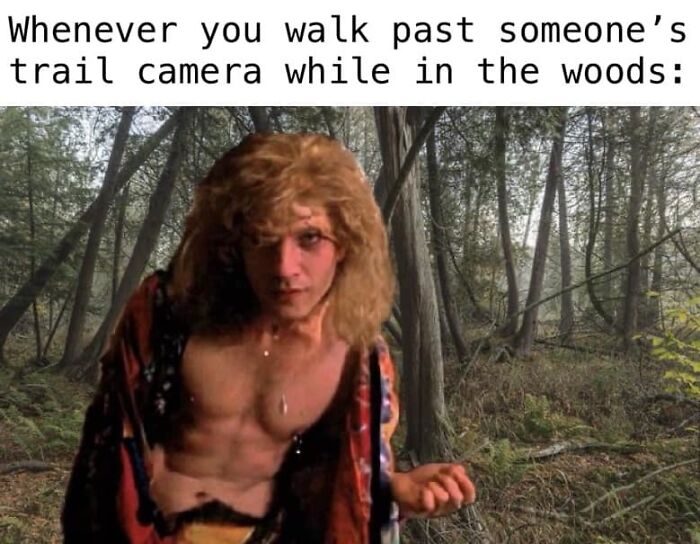 Wild-Green-Memes-Ecological-Fiends