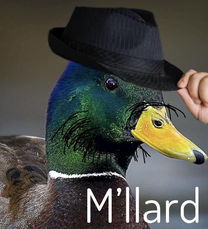 Wild-Green-Memes-Ecological-Fiends