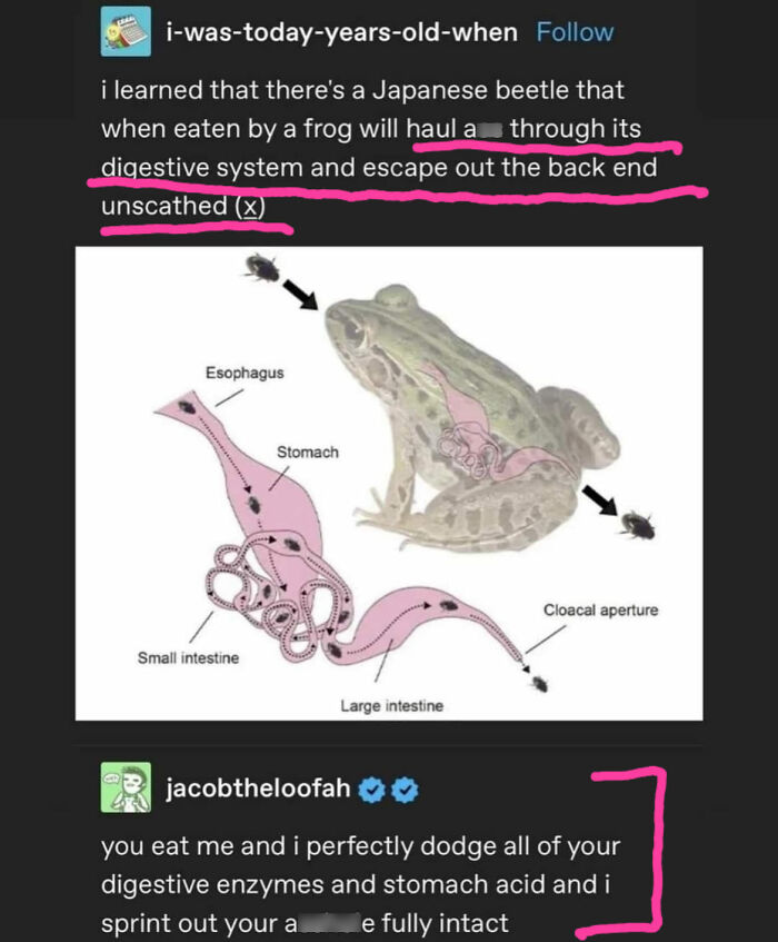 Wild-Green-Memes-Ecological-Fiends