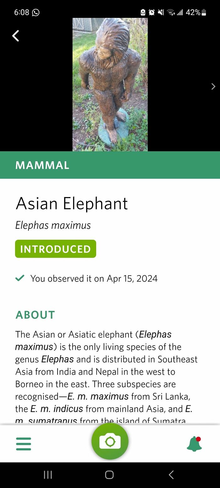 Wild-Green-Memes-Ecological-Fiends