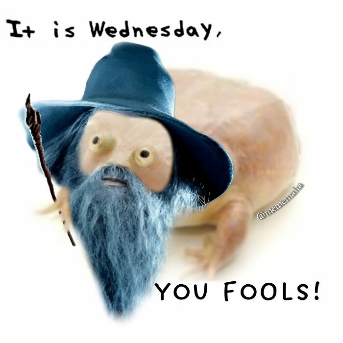 Wild-Green-Memes-Ecological-Fiends