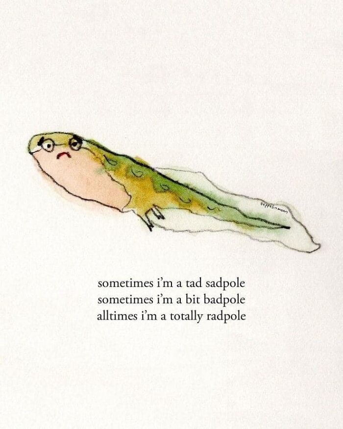 Wild-Green-Memes-Ecological-Fiends