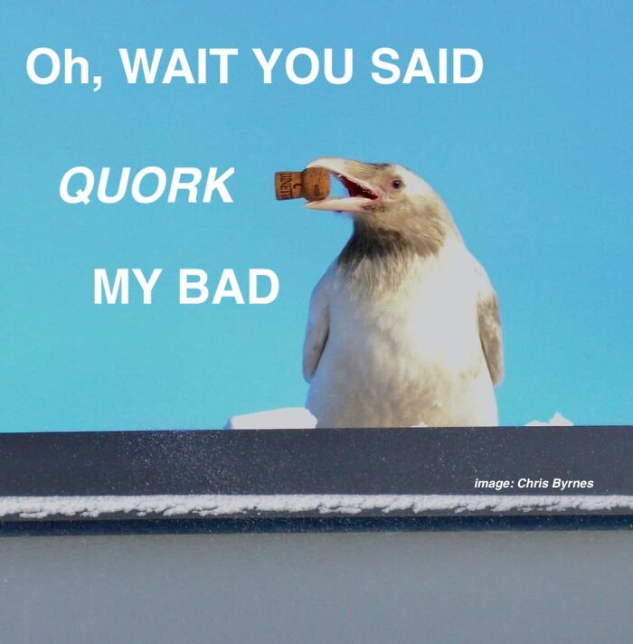 Wild-Green-Memes-Ecological-Fiends