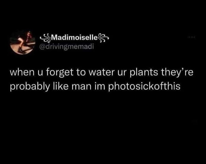 Wild-Green-Memes-Ecological-Fiends