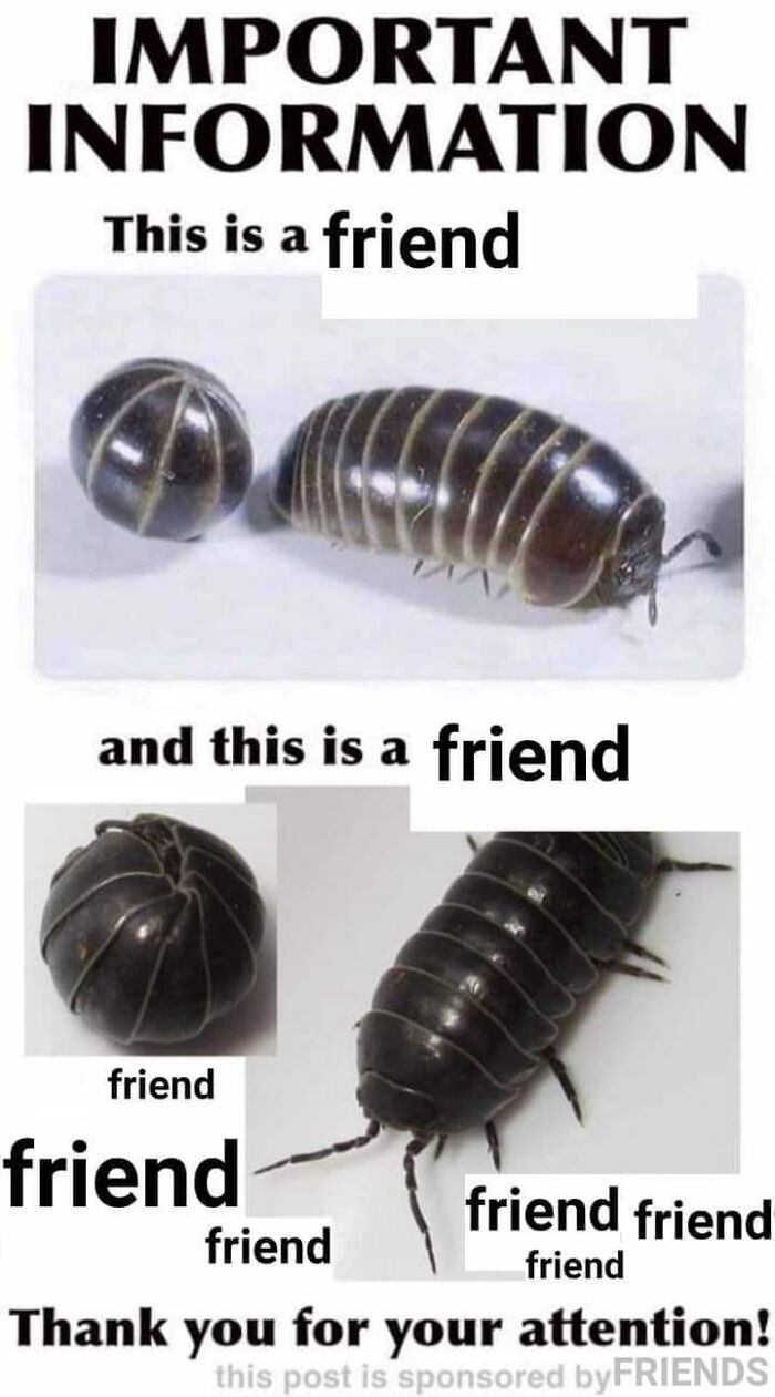 Wild-Green-Memes-Ecological-Fiends