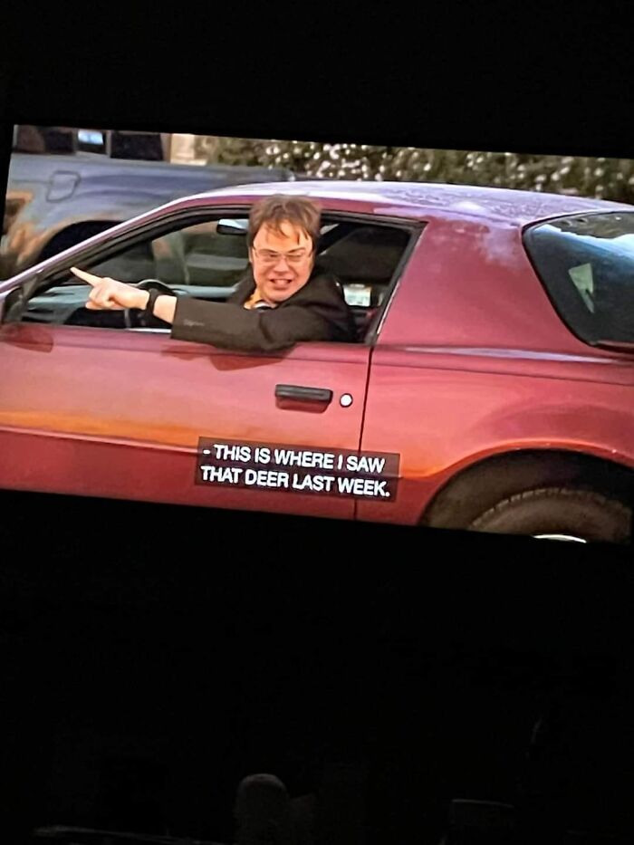 Wild-Green-Memes-Ecological-Fiends