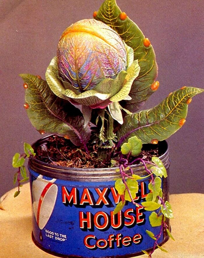 Wild-Green-Memes-Ecological-Fiends