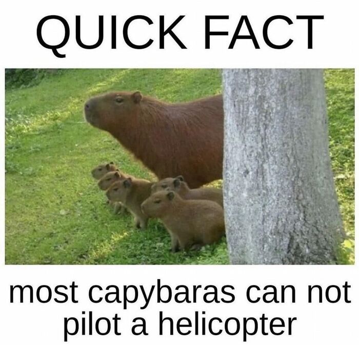 Wild-Green-Memes-Ecological-Fiends