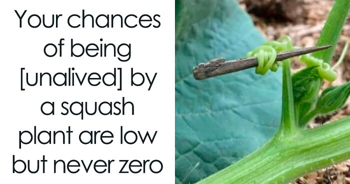 50 Animal And Nature Memes, As Shared By Members Of This Popular Facebook Group