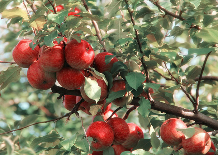 30 Folks Speculate What They’d Do If Given Immortality, But Also Sent Back 3,000 Years Back - 21