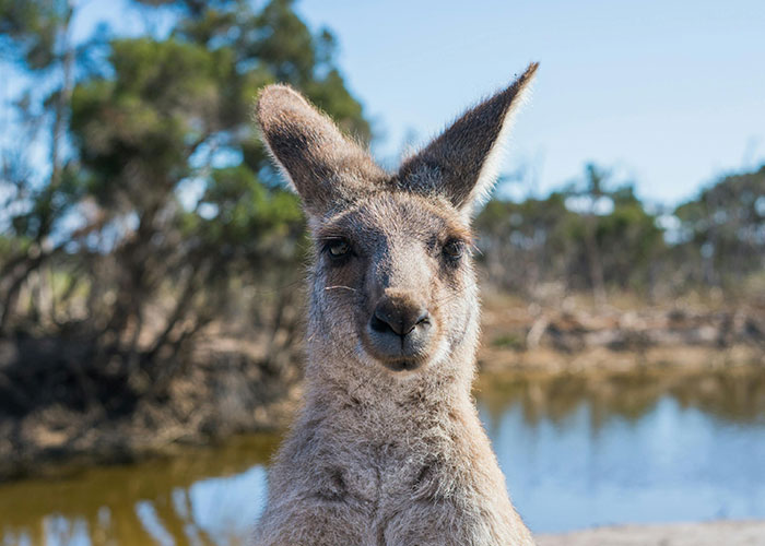 30 Folks Speculate What They’d Do If Given Immortality, But Also Sent Back 3,000 Years Back - 29