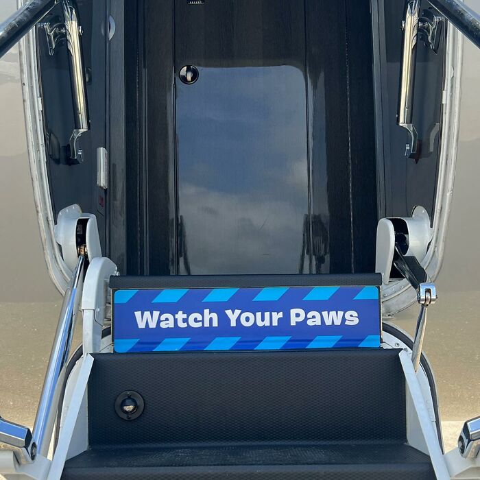 Bark Air, Where Dogs Rule The Skies In Luxury With A New Airline Designed For Them