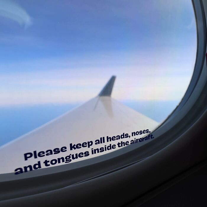 Bark Air, Where Dogs Rule The Skies In Luxury With A New Airline Designed For Them