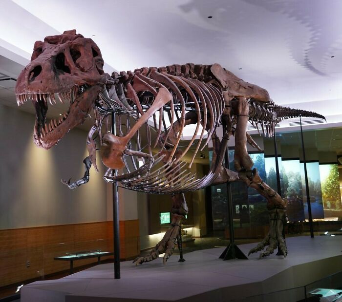 History Enthusiasts Are Sharing History Facts That Many People Would Find Shocking (50 Facts)