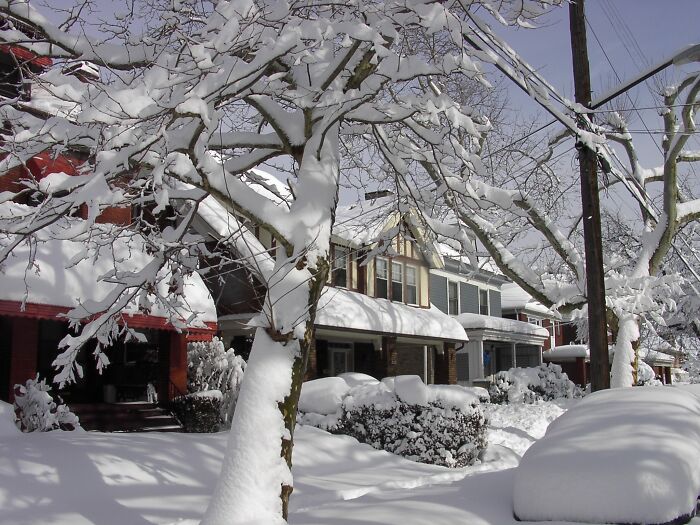 Snow, February 6, 2010, Pittsburgh, Pa