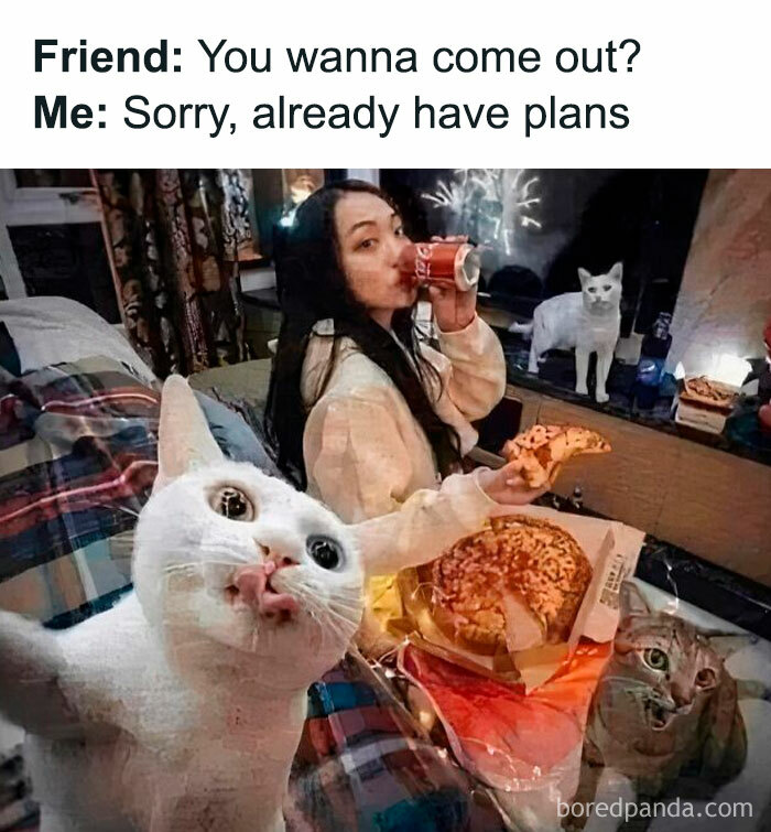 Random-Relatable-Memes-Spillthememes