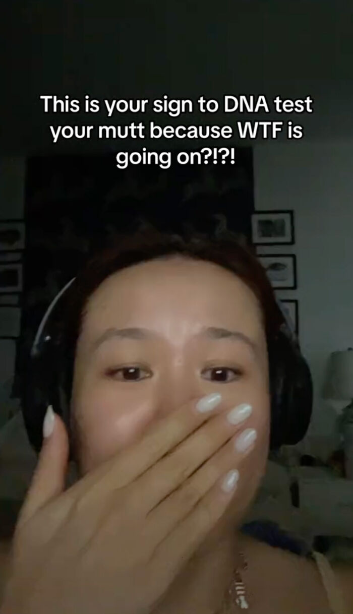 A Dog DNA Test Helps Woman Discover Her Mutt&rsquo;s Entire Family Tree And She&rsquo;s In Tears