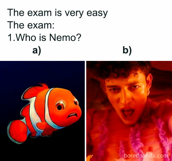 Eurovision Song Contest 2024 joke showing Nemo and a surprised singer as test answer options.