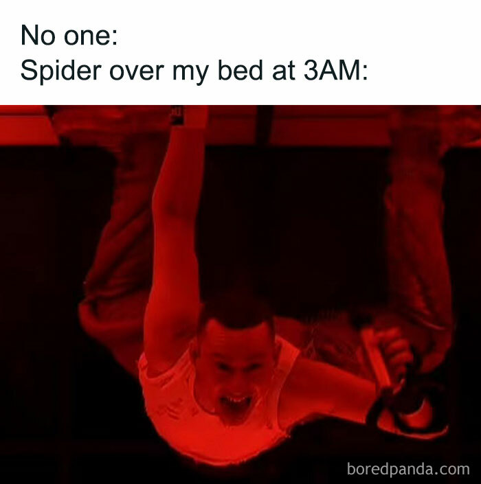 Person hanging upside down with a microphone, humorously resembling a spider, celebrating Eurovision 2024 vibes.