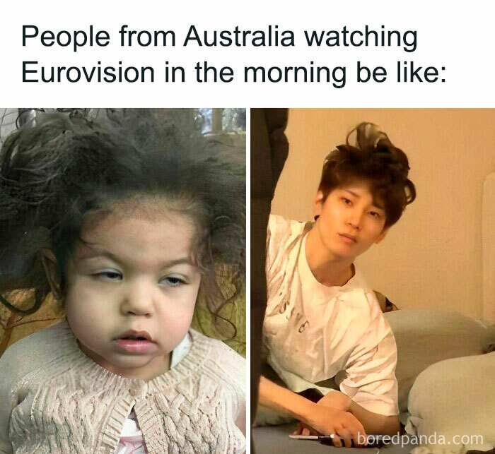 Eurovision-Memes-2024