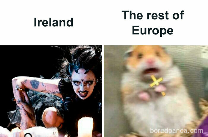 Ireland fierce performer vs scared hamster representing the rest of Europe in a humorous Eurovision 2024 meme.