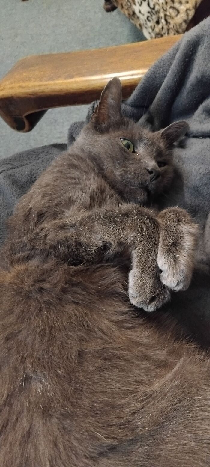 Netflix: Are You Still Watching? Me: