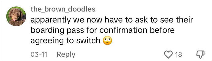 &ldquo;My Seat Is My Seat&rdquo;: People Appalled By Dad&rsquo;s Deceptive Tactics To Sit Next To Kids On Plane
