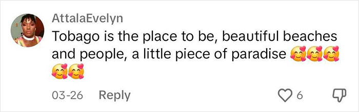22-Year-Old Showcases Life After Building His Own House On Caribbean Island For Under $4,000 22-Year-Old Showcases Life After Building His Own House On Caribbean Island For Under $4,000