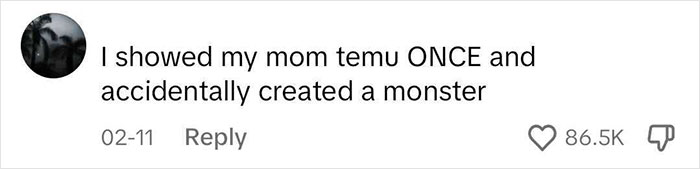 People Hilariously Document The Evidence That Their Parents Are &ldquo;Temu Victims&rdquo;