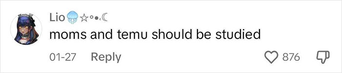 People Hilariously Document The Evidence That Their Parents Are &ldquo;Temu Victims&rdquo;