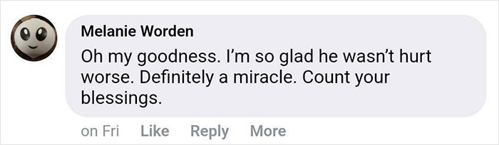 15-Year-Old Boy With Neurological Disorder Mauled By Bear While Watching TV