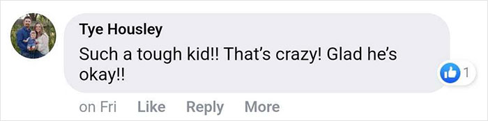 15-Year-Old Boy With Neurological Disorder Mauled By Bear While Watching TV