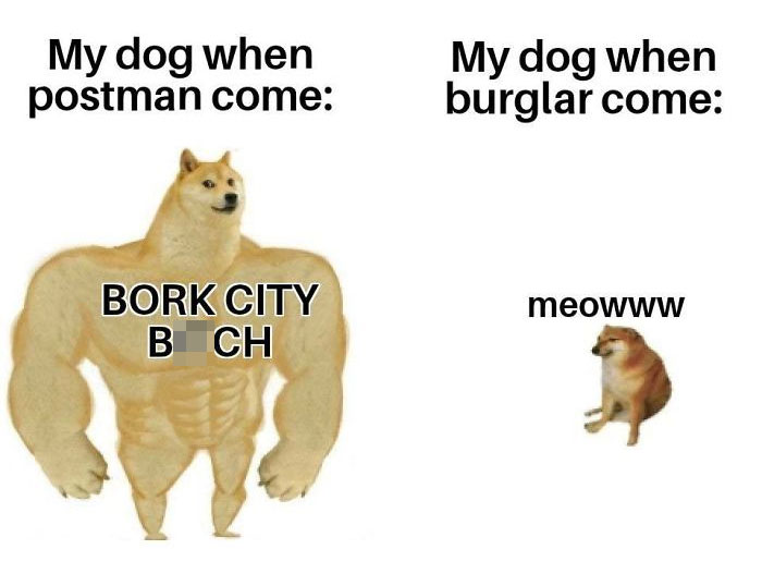 End Of An Era: Beloved “Doge” Meme Dog Kabosu Passes Away At Age 18 End Of An Era: Beloved “Doge” Meme Dog Kabosu Passes Away At Age 18