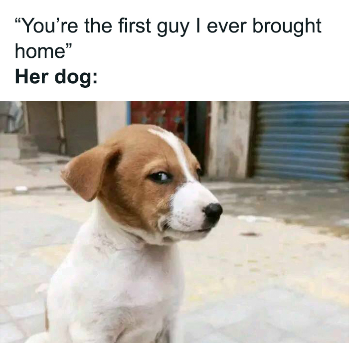 Hilarious-Relationship-Memes