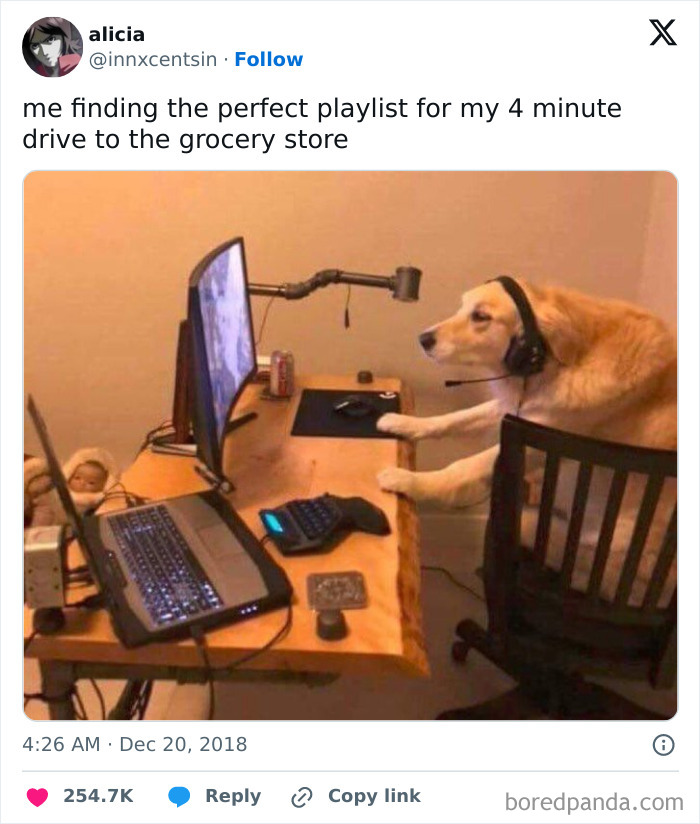 Random-Relatable-Memes-Spillthememes