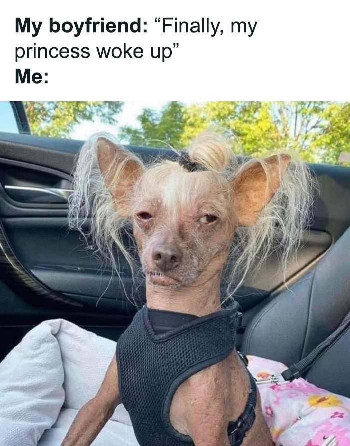 Hilarious-Relationship-Memes