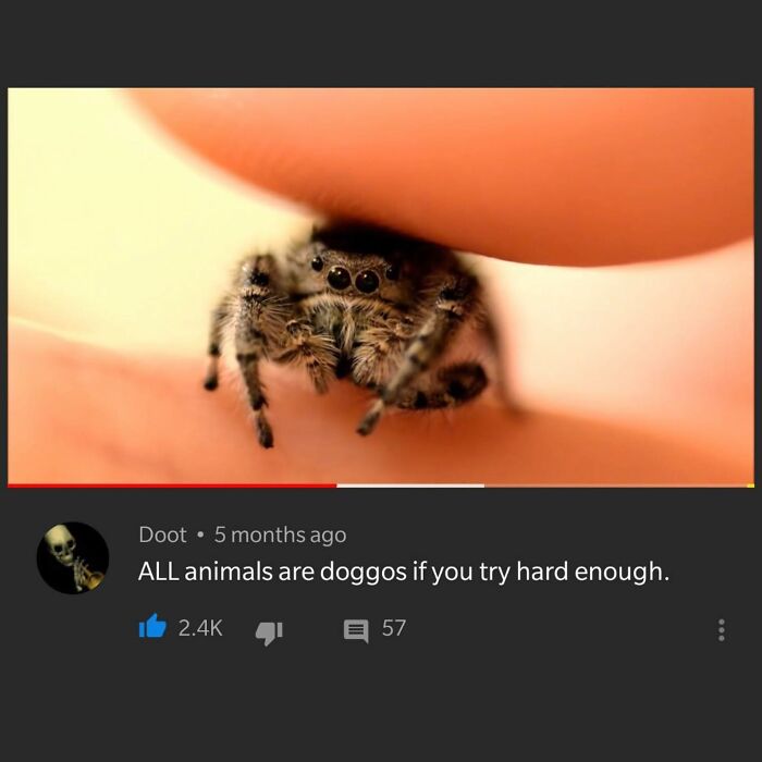 Funny-Youtube-Comments