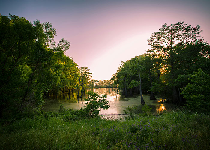 “Welcome To Pennsylvania, Here’s Your Flat Tire”: 50 Iconic Things That Define US States