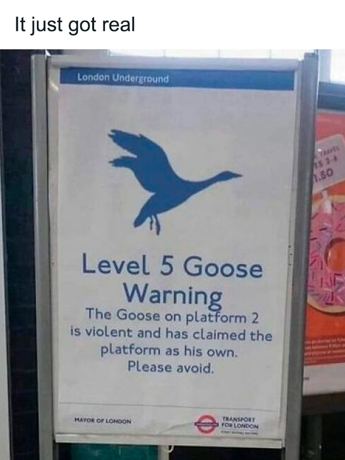 Signs-With-Threatening-Auras