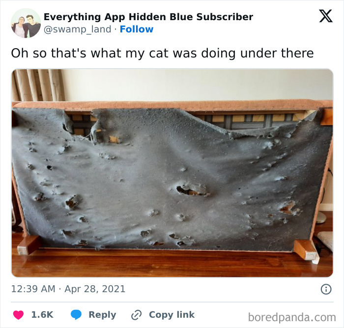 This Looks Like The Surface Of The Moon