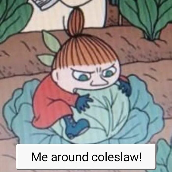 Moomin-Trolls-Memes-Magix